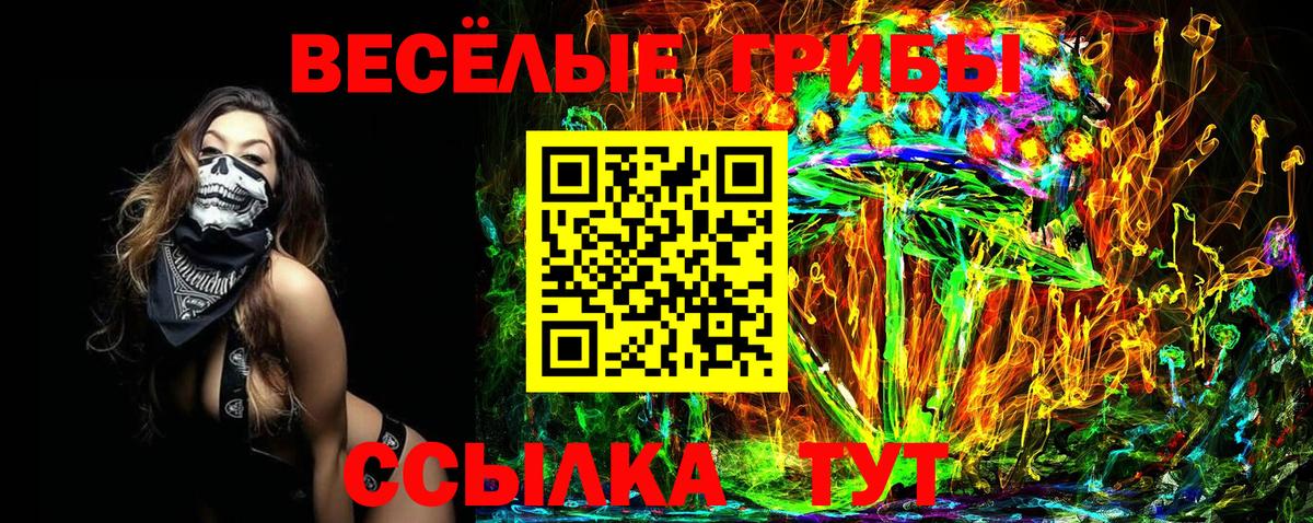 Псилоцибиновые грибы Cubensis  Вход с VPN  Кингисепп  Галлюциногенные грибы MAGIC MUSHROOMS 
